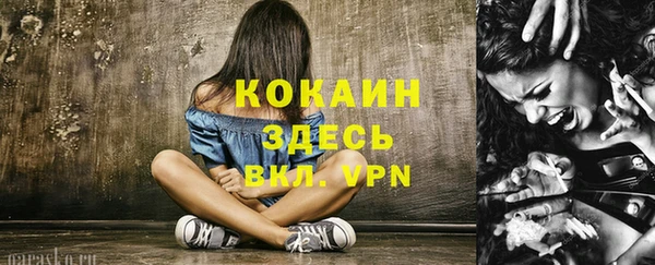 амф Щёлкино