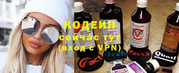 дурь Щигры