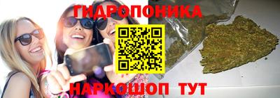 прущие крисы Аргун