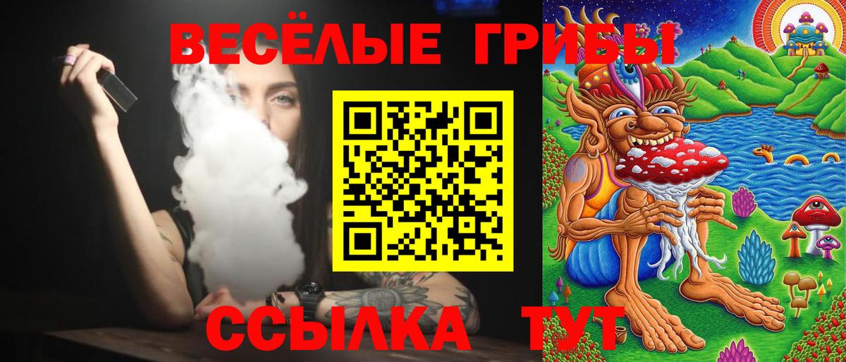 Псилоцибиновые грибы Psilocybine cubensis  Вход с VPN  Калининград 
