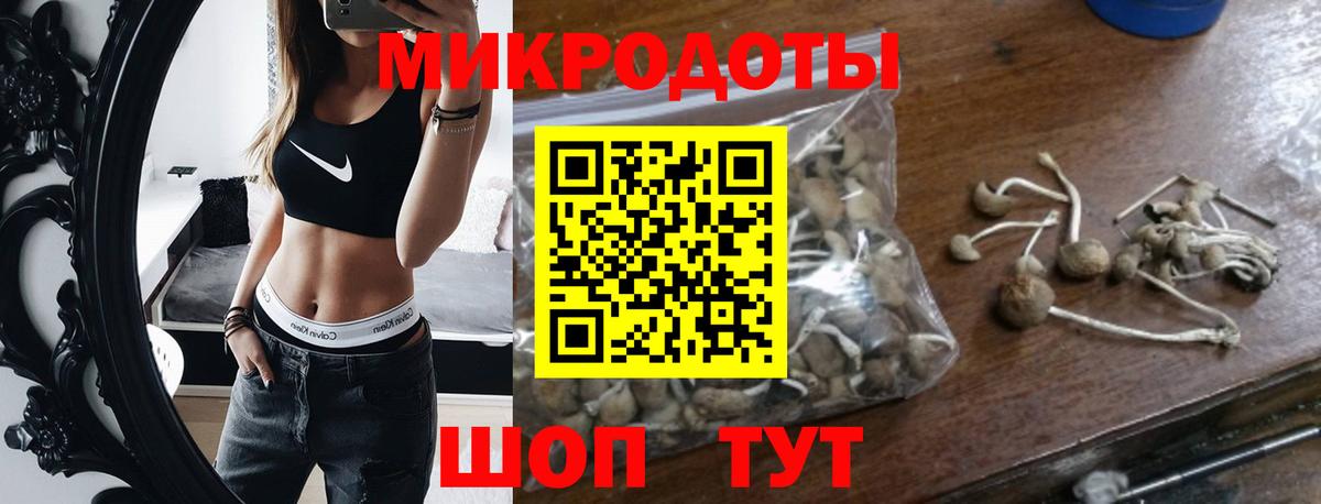 Галлюциногенные грибы GOLDEN TEACHER  Галлюциногенные грибы Magic Shrooms  Калининград 